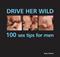 Drive Her Wild: 100 Sex Tips for Men: A Red-hot Guide to Seduction, with Techniques to Thrill and Exhilarate Your Partner